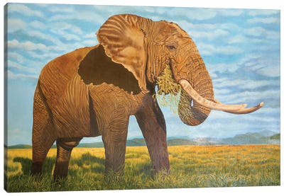 Elephant Canvas Art Print - Fine Art Safari