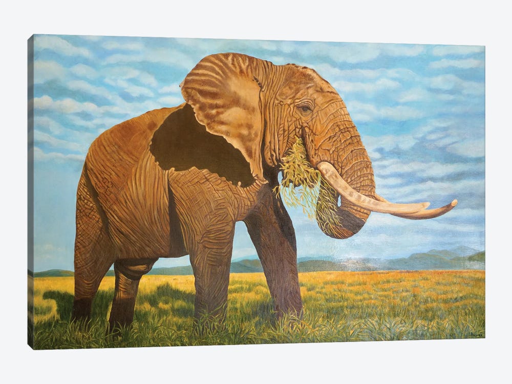 Elephant by Evgeniya Roslik 1-piece Canvas Art Print