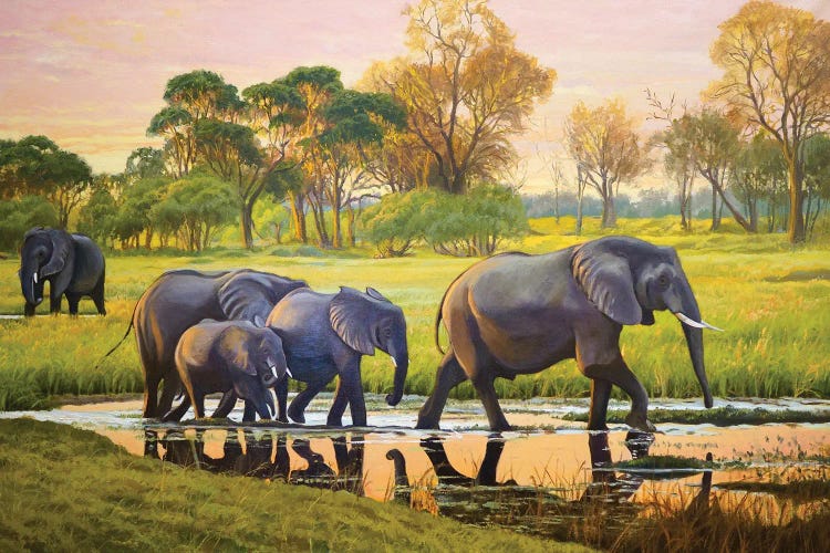 Elephants At Sunset