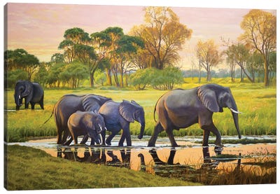 Elephants At Sunset Canvas Art Print - Evgeniya Roslik