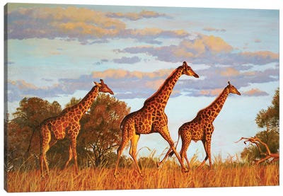 Giraffes Canvas Art Print - Evgeniya Roslik