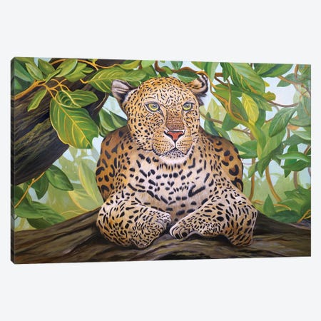 Leopard Under The Tree Canvas Print #ERL46} by Evgeniya Roslik Canvas Art