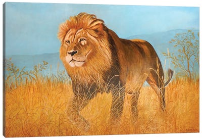 Lion Canvas Art Print - Fine Art Safari
