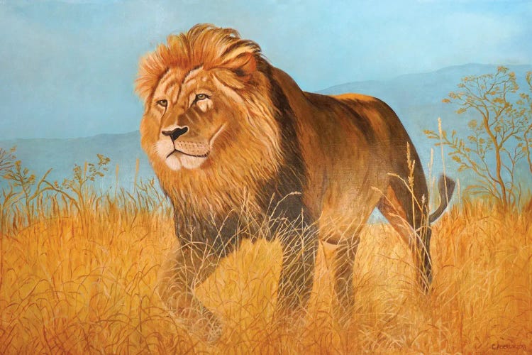 Lion