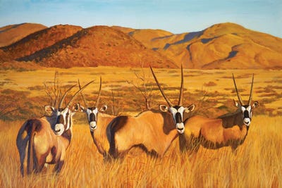 Antelopes