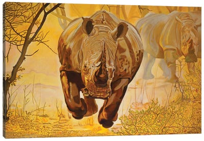 Rhinos Canvas Art Print - Rhinoceros Art