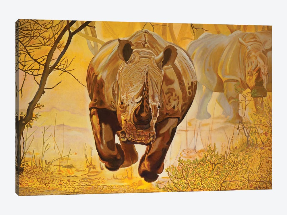 Rhinos by Evgeniya Roslik 1-piece Canvas Artwork