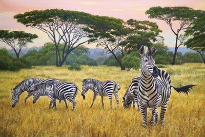 Zebras Canvas Art Print by Evgeniya Roslik | iCanvas