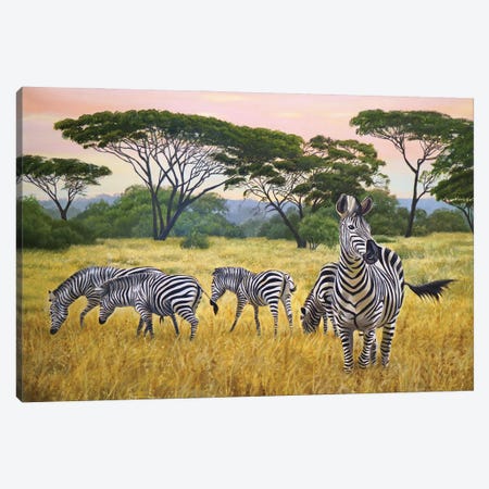 Zebras Canvas Print #ERL55} by Evgeniya Roslik Canvas Print