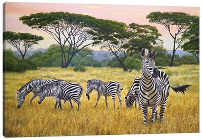 Zebras Canvas Art Print - Evgeniya Roslik