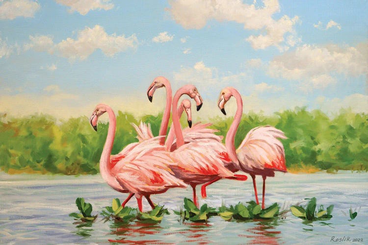 Flamingos