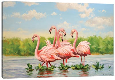 Flamingos Canvas Art Print - Evgeniya Roslik
