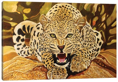 Leopard Canvas Art Print - Evgeniya Roslik