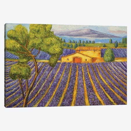 Lavender Field I Canvas Print #ERL70} by Evgeniya Roslik Canvas Art