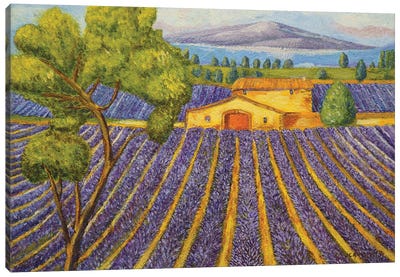 Lavender Field I Canvas Art Print - Lavender Art