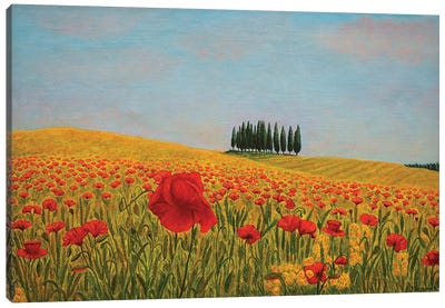 Red Poppy I Canvas Art Print - Cypress Trees