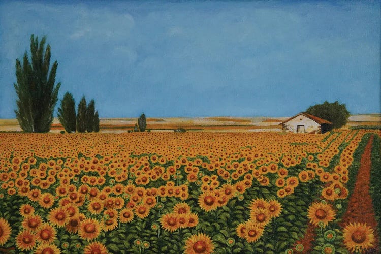 Sunflowers I