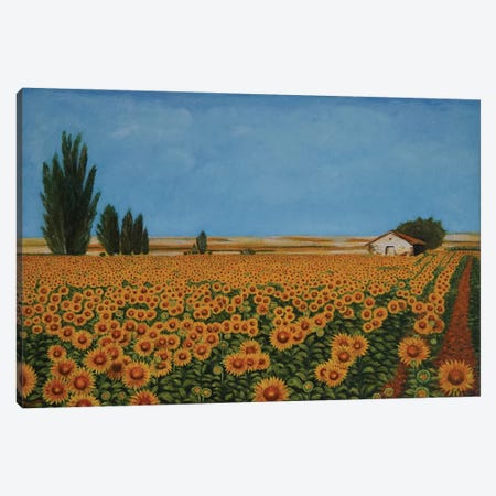 Sunflowers I Canvas Print #ERL81} by Evgeniya Roslik Art Print