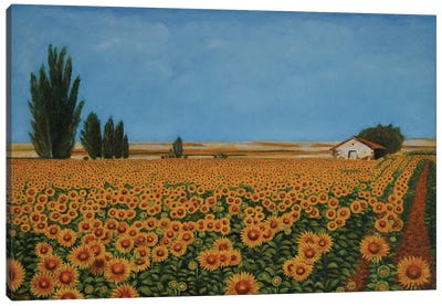 Sunflowers I Canvas Art Print - Evgeniya Roslik