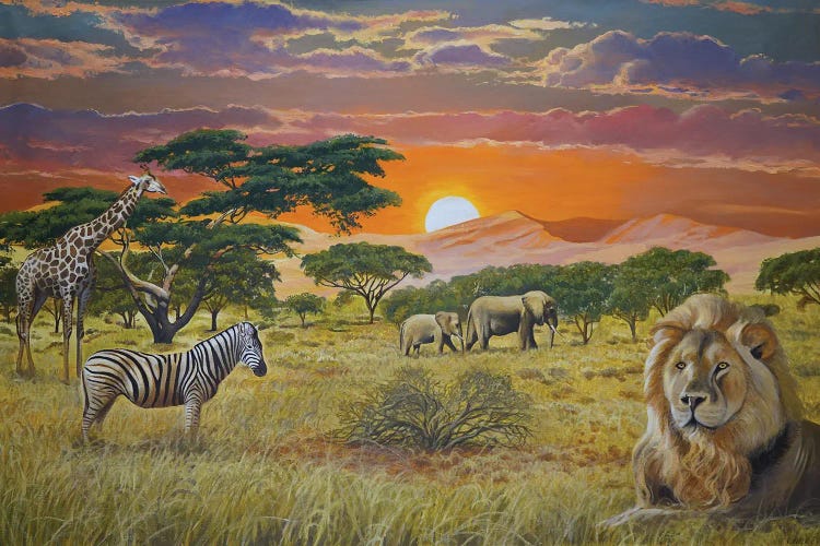 African Animals