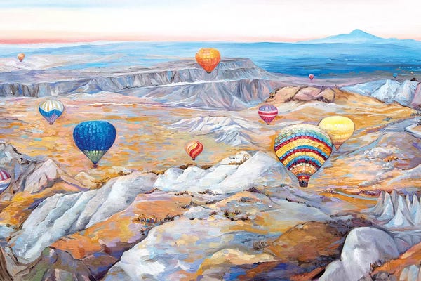 New Mexico: Hot Air Balloons Festival by Ekaterina Ermilkina