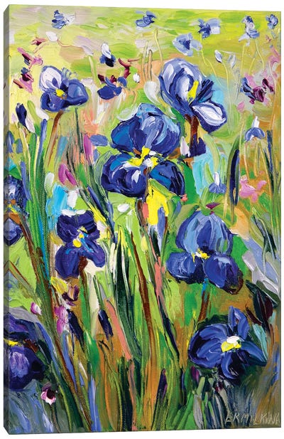 Iris Garden Canvas Art Print - Wildflowers