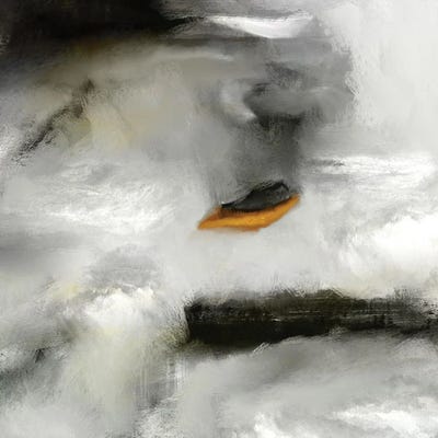 Phenomenon by Roberto Moro canvas print