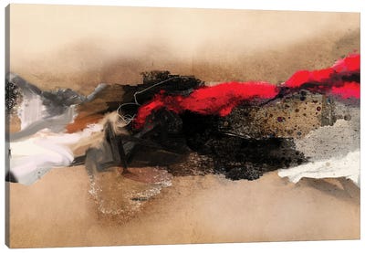 Lava Flow Canvas Art Print - Roberto Moro