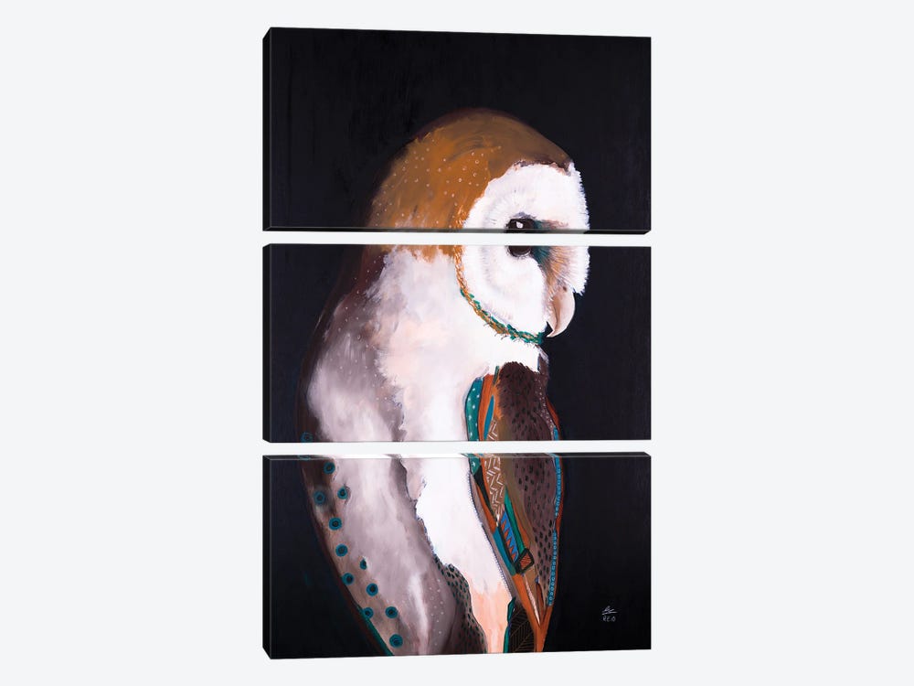 Barn Owl by Emily Reid 3-piece Canvas Artwork