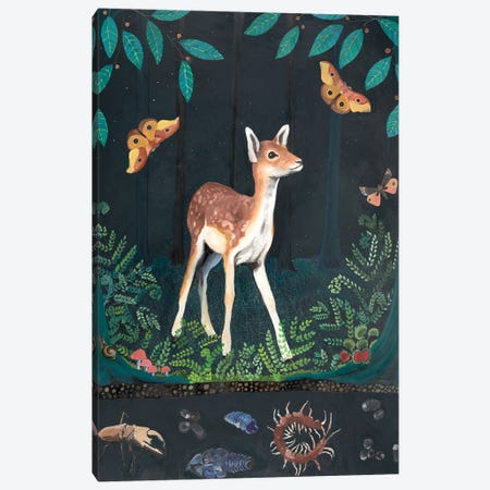 Fawn At Night Canvas Print #ERZ22} by Emily Reid Canvas Art Print
