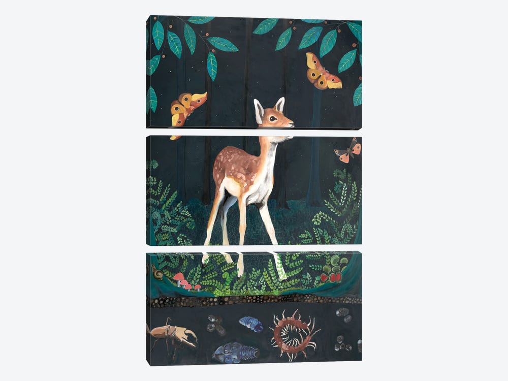 Fawn At Night by Emily Reid 3-piece Canvas Art Print