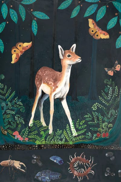 Emily Reid: Fawn At Night by Emily Reid