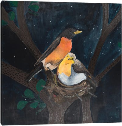 Robins In Nest Canvas Art Print - Emily Reid