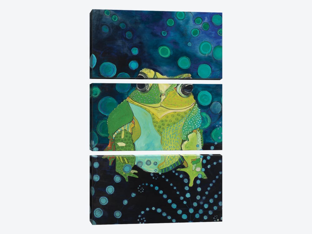 Toad In Rainforest by Emily Reid 3-piece Canvas Art Print
