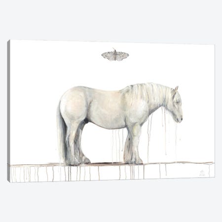 Grey Horse And Moth Canvas Print #ERZ38} by Emily Reid Canvas Art
