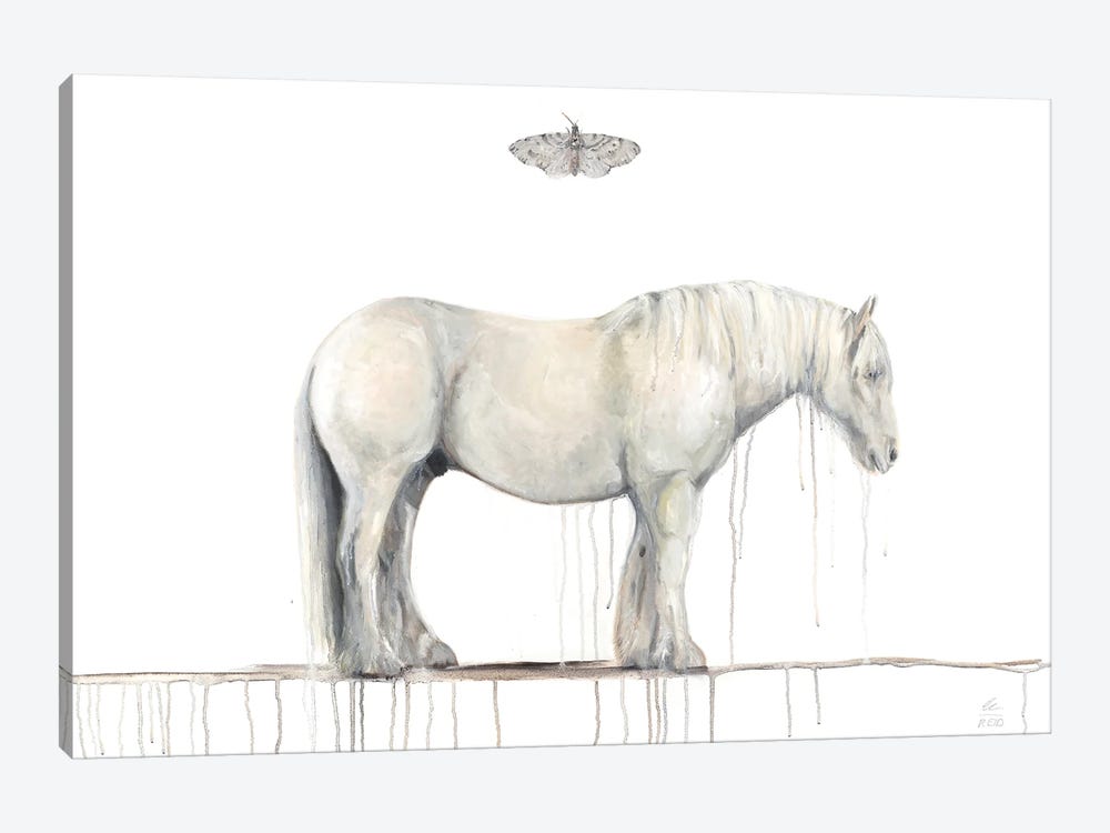 Grey Horse And Moth by Emily Reid 1-piece Canvas Artwork