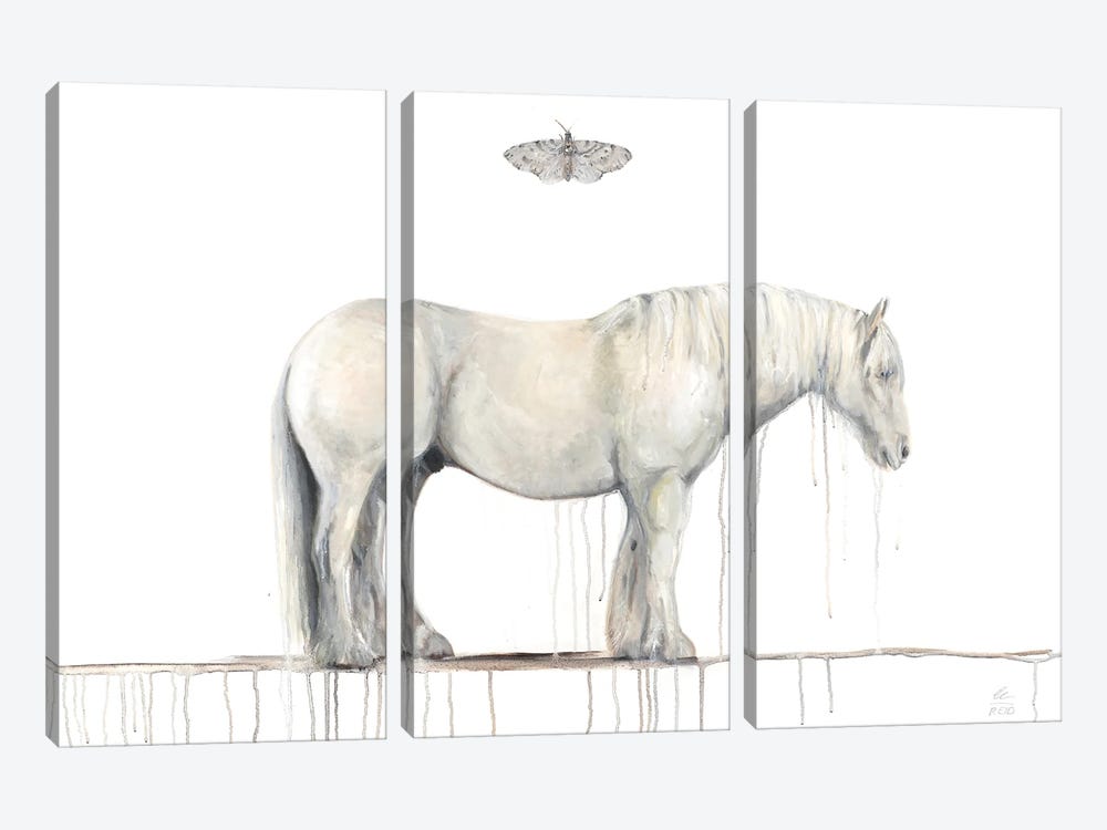 Grey Horse And Moth by Emily Reid 3-piece Canvas Wall Art