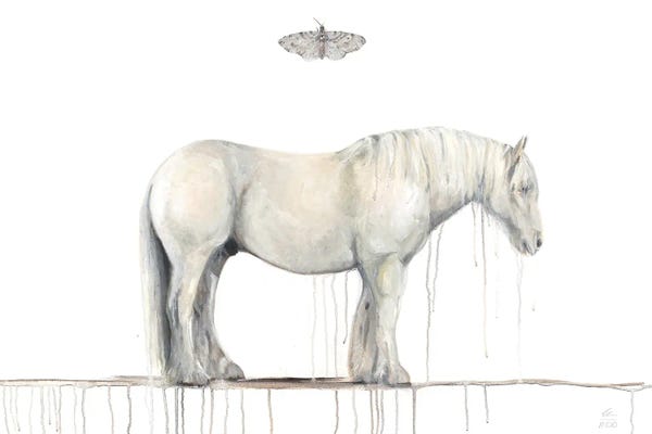 Moths: Grey Horse And Moth by Emily Reid