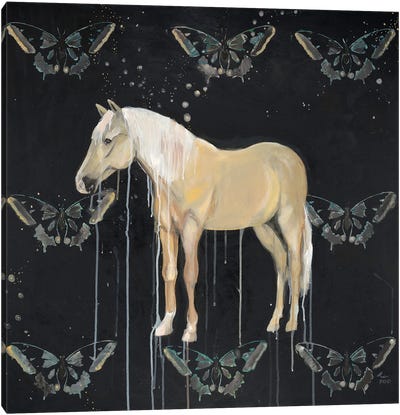 Mustang Horse And Butterflies Canvas Art Print - Emily Reid