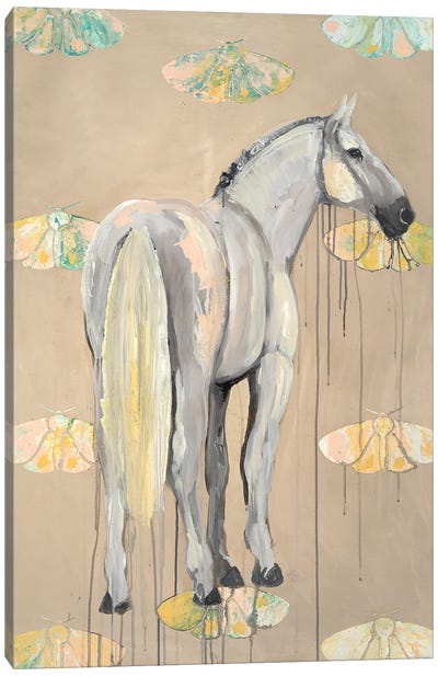 Horse With Moths Canvas Art Print - Emily Reid