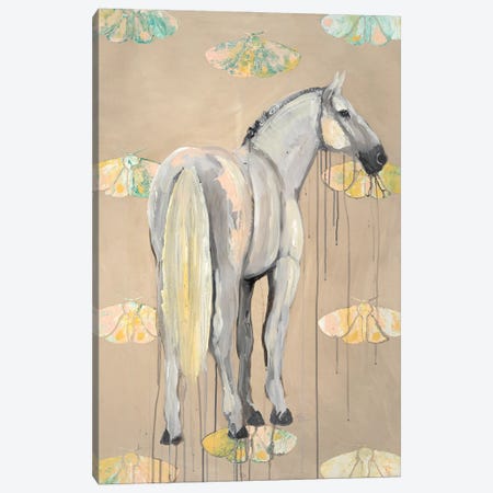 Horse With Moths Canvas Print #ERZ41} by Emily Reid Canvas Art Print