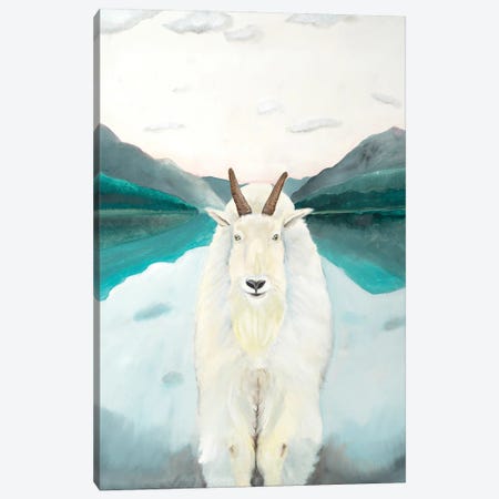 Glacier Park Mountain Goat Canvas Print #ERZ46} by Emily Reid Canvas Artwork