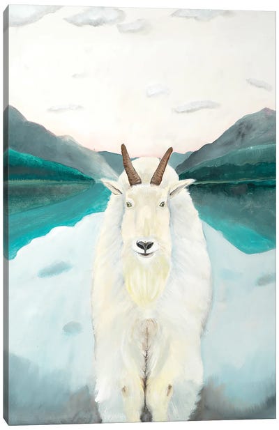 Glacier Park Mountain Goat Canvas Art Print - Goat Art