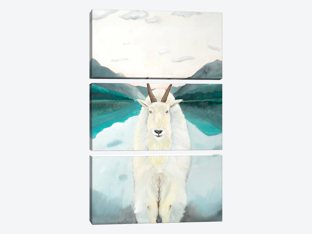 Glacier Park Mountain Goat by Emily Reid 3-piece Canvas Print
