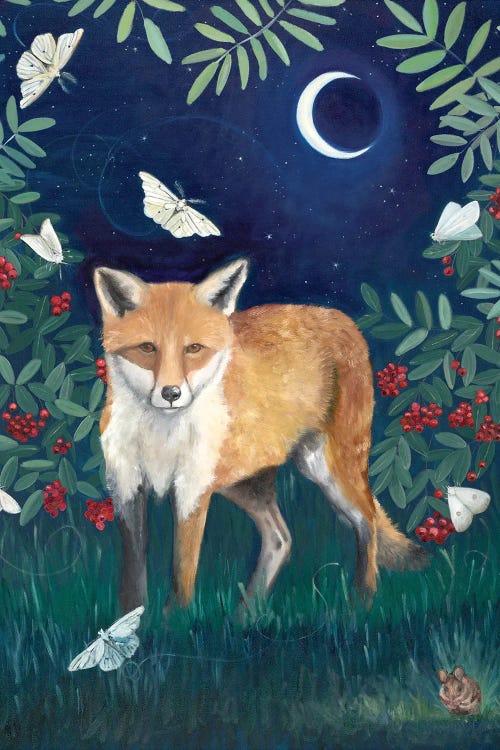 Fox At Night