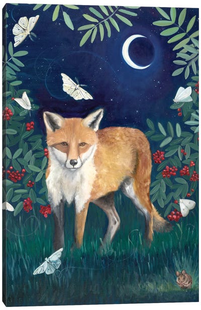 Fox At Night Canvas Art Print - Fox Art