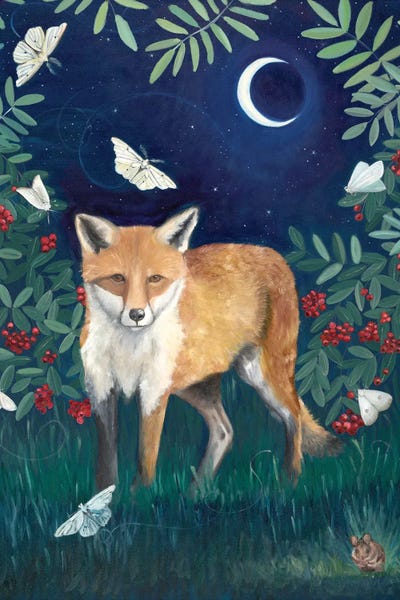 Astronomy & Space: Fox At Night by Emily Reid