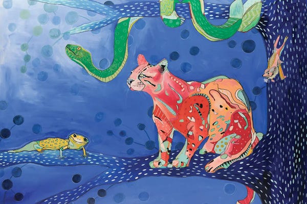 Emily Reid: Amazon Animals by Emily Reid