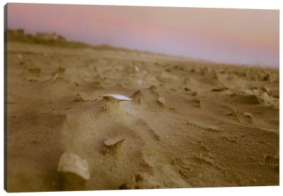 Shell Shelf Canvas Art Print - Desert Landscape Photography