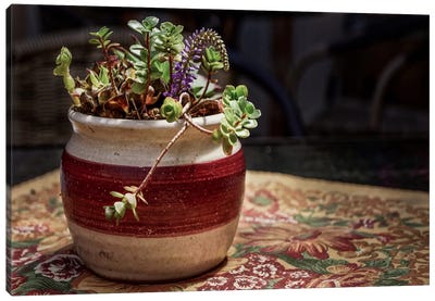 Plants and Some Folliage Canvas Art Print - Still Life Photography